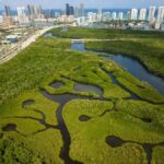 Miami: Clear Kayak Eco Tour with Guide and Wildlife - Booking and Practicalities