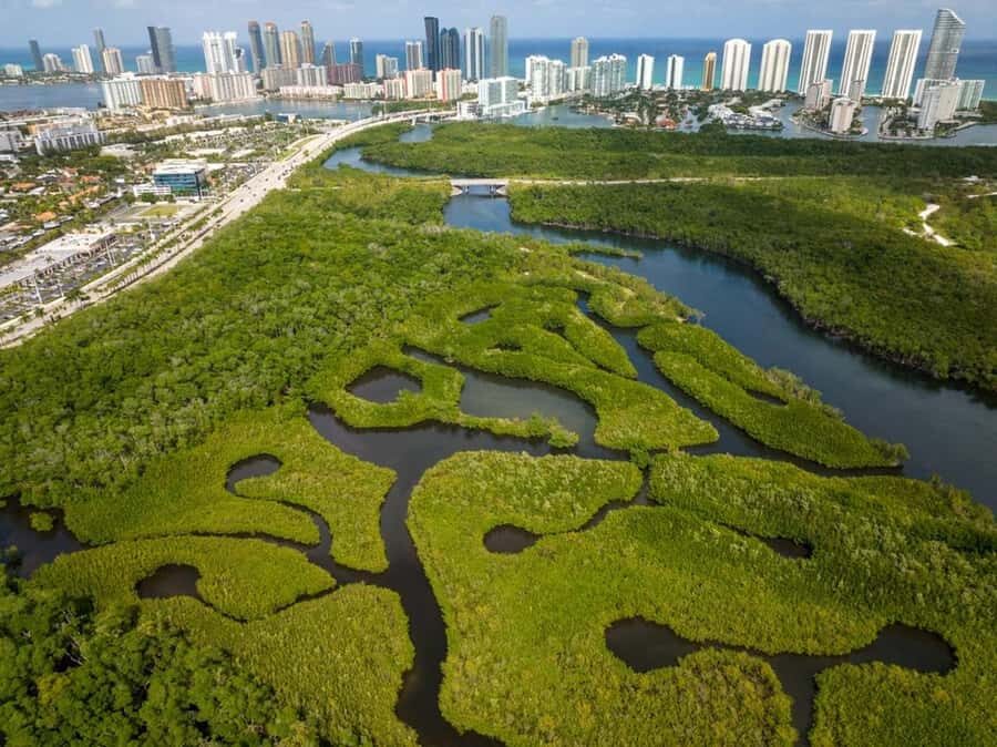 Miami: Clear Kayak Eco Tour with Guide and Wildlife - Booking and Practicalities