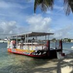 Miami Day Party Boat and Fun in the sun - Who Should Book This Tour?