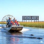 Miami: Everglades Airboat Alligator Tour with Transfer - An In-Depth Look at the Experience