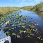 Miami: Everglades Airboat, Gator Experience with Transfer - What You’ll Love About This Tour