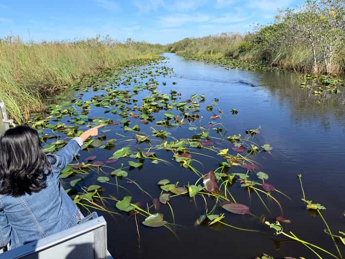 Miami: Everglades Airboat, Gator Experience with Transfer - What You’ll Love About This Tour