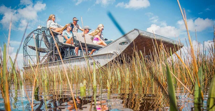 Miami: Everglades National Park Airboat Tour & Wildlife Show - The Wildlife and Alligator Show: Up Close and Personal