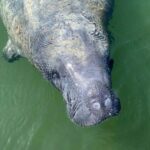 Miami: Everglades National Park Kayaking & Hiking Tour - What Makes This Tour Stand Out?