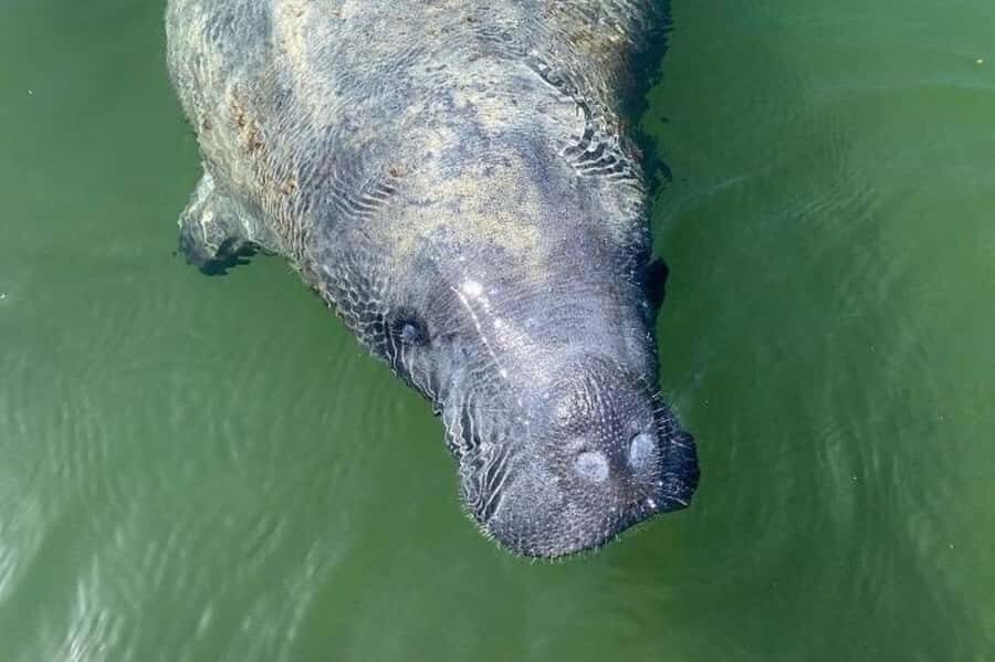 Miami: Everglades National Park Kayaking & Hiking Tour - What Makes This Tour Stand Out?