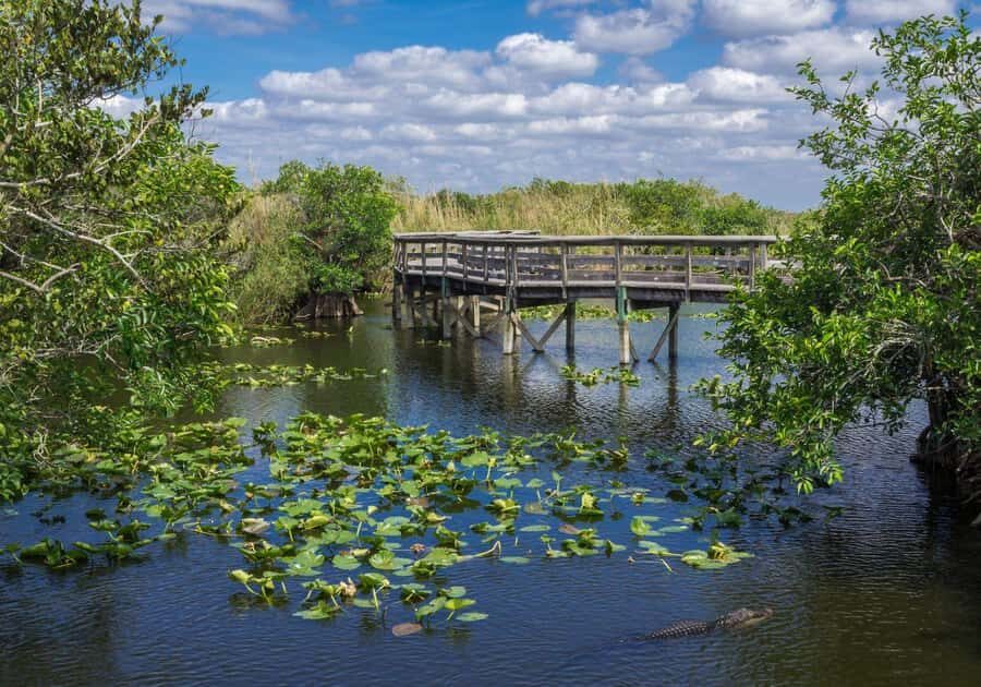 Miami: Everglades Private Tour - Who Should Consider This Tour?