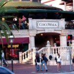 Miami: Explore Magic City in Style  2-Hour VIP Tour - What Can You Expect from the Itinerary?