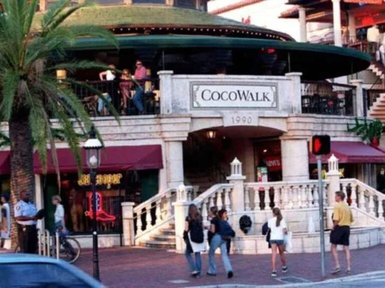 Miami: Explore Magic City in Style  2-Hour VIP Tour - What Can You Expect from the Itinerary?