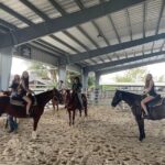 Miami: Guided Horseback Riding Tour - Who Will Love This Tour?