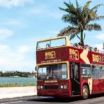 Miami: Hop-on Hop-off Open-top Bus Tour with Optional Cruise - What to Expect at Each Stop