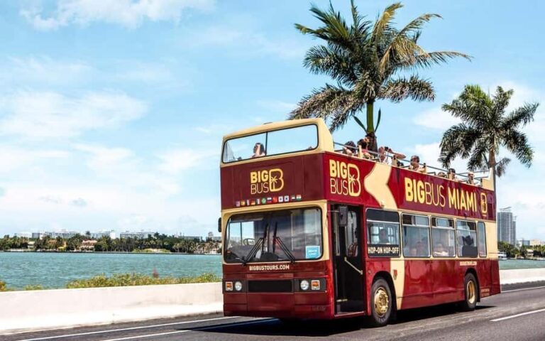 Miami: Hop-on Hop-off Open-top Bus Tour with Optional Cruise - What to Expect at Each Stop