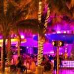 Miami Premium Driving Night Tour with Skyviews Wheel Ride - Who Should Consider This Tour?