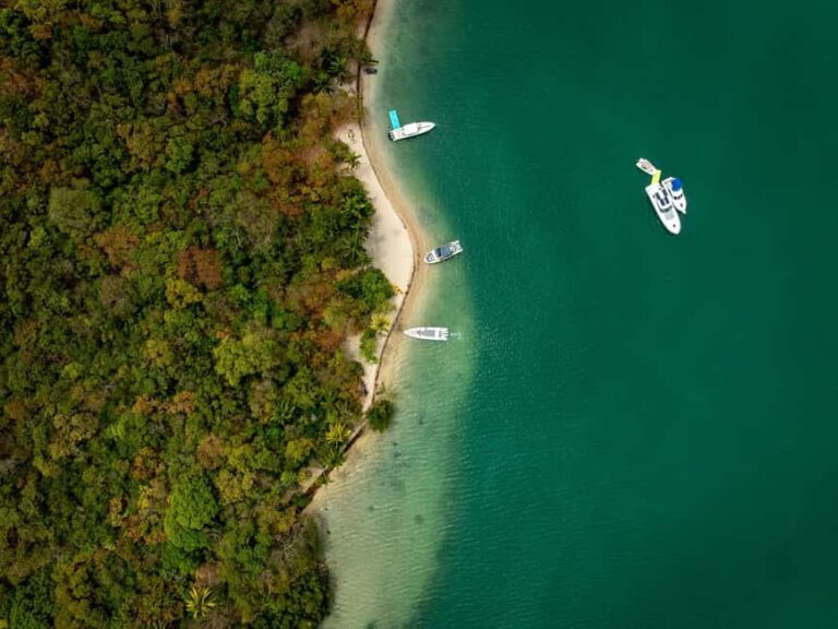 Miami Private Island Tour - The Highlights of the Tour