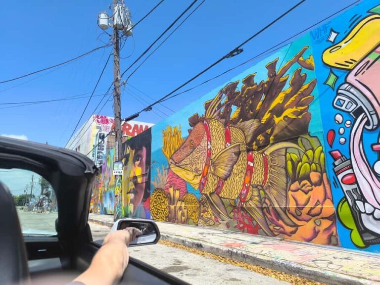 Miami: Private Tour in a Convertible Mustang (French) - Who Should Consider This Tour?