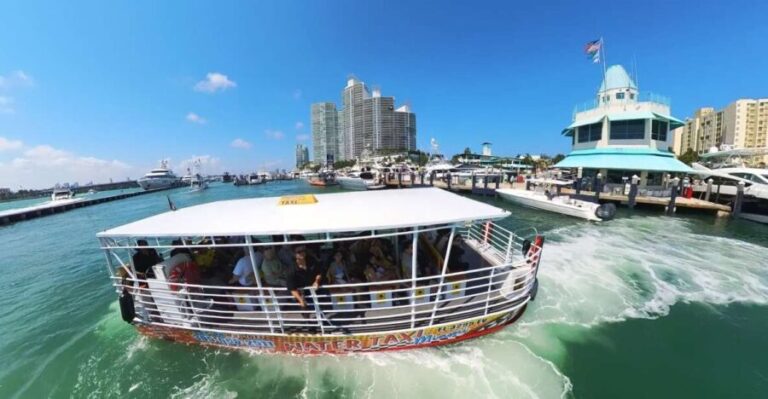 Miami Skyline Cruise of Millionaire Homes on Biscayne Bay - The Experience: Pros and Cons