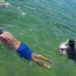 Miami: Snorkel adventure & Sandbar Trip - Practical Details and Logistics