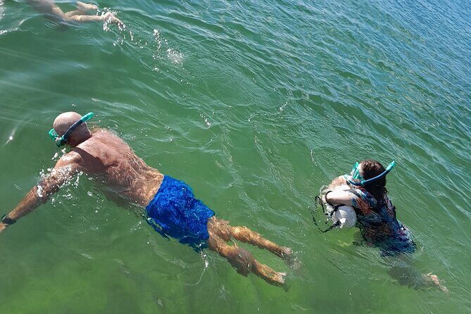 Miami: Snorkel adventure & Sandbar Trip - Practical Details and Logistics