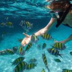 Miami to Key West Day Trip with Optional Activities - What the Reviews Say