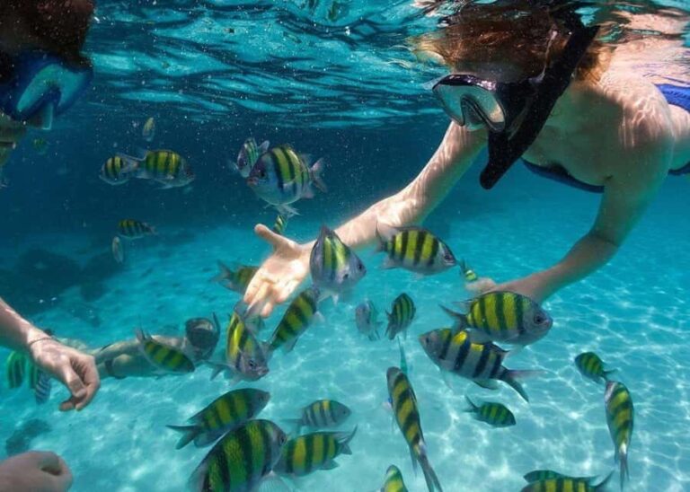 Miami to Key West Day Trip with Optional Activities - What the Reviews Say