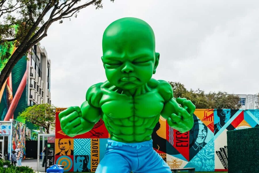 Miami: Wynwood Walls, Galleries, and Murals Guided Tour - What to Expect from the Wynwood Walls Guided Tour