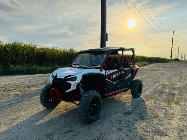 Miami's Ultimate Buggy Adventure on a Honda Talon UTV - Who Will Love This Tour?