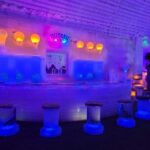 Midnight Sun Magic Chena Hot Springs Soak and Ice Museum Tour - The Ice Museum: Art in Cold