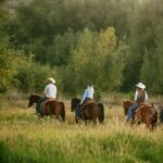 Midway, Utah: Horseback Riding Tour with Guide - The Horses and Guides: Why They Matter