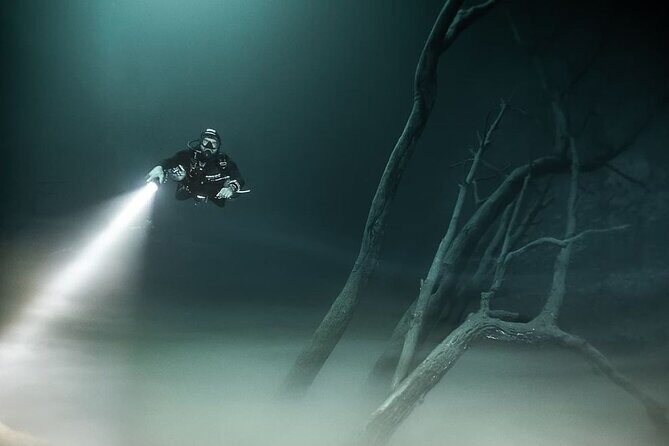 Mind Blowing Cenote Diving Experience In Playa del Carmen - A Detailed Breakdown of the Itinerary