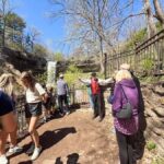Minneapolis: Minnehaha Falls Trolley Ride - The Practical Value of This Tour
