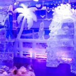 Minus5 Ice Bar Admission Ticket at The LINQ Las Vegas - Detailed Breakdown of the Itinerary