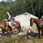 Mismaloya Jalisco: Rancho Manolo Horseback Tour - Who Will Enjoy This Tour?