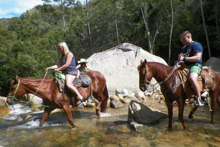 Mismaloya Jalisco: Rancho Manolo Horseback Tour - Who Will Enjoy This Tour?