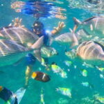 Mismaloya: Snorkeling, Cliff Jumping, and Beach Tour - Itinerary Breakdown