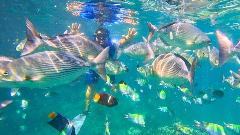 Mismaloya: Snorkeling, Cliff Jumping, and Beach Tour - Itinerary Breakdown