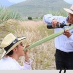 Mixer - Authentic Experience and Customer Service