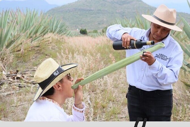 Mixer - Authentic Experience and Customer Service