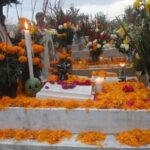 Mixquic Day of the Dead Celebration from Mexico City - What We Love About This Tour