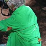 Monarch Butterflies El Rosario Preserve from Mexico City - FAQs