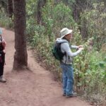 Monarch Butterfly group tour. Join me to watch #butterflies - Transportation and Group Size
