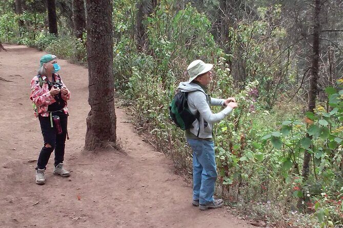 Monarch Butterfly group tour. Join me to watch #butterflies - Transportation and Group Size
