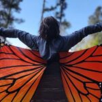 Monarch Butterfly Reserve: Piedra Herrada Magical Valle de Bravo - What Travelers Can Expect