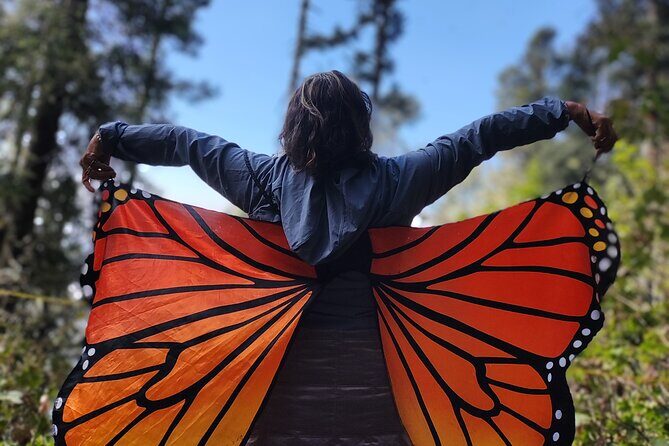 Monarch Butterfly Reserve: Piedra Herrada Magical Valle de Bravo - What Travelers Can Expect