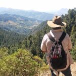 Monarch Butterfly Tour from Mexico City - Experiencing Mexican Gastronomy and Culture