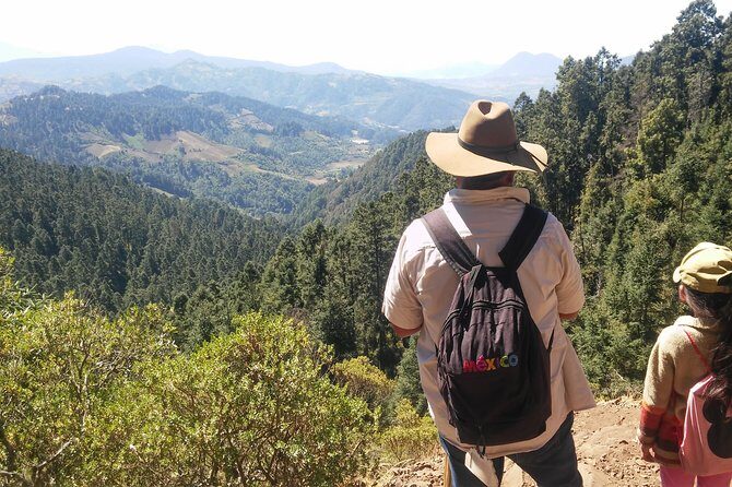 Monarch Butterfly Tour from Mexico City - Experiencing Mexican Gastronomy and Culture