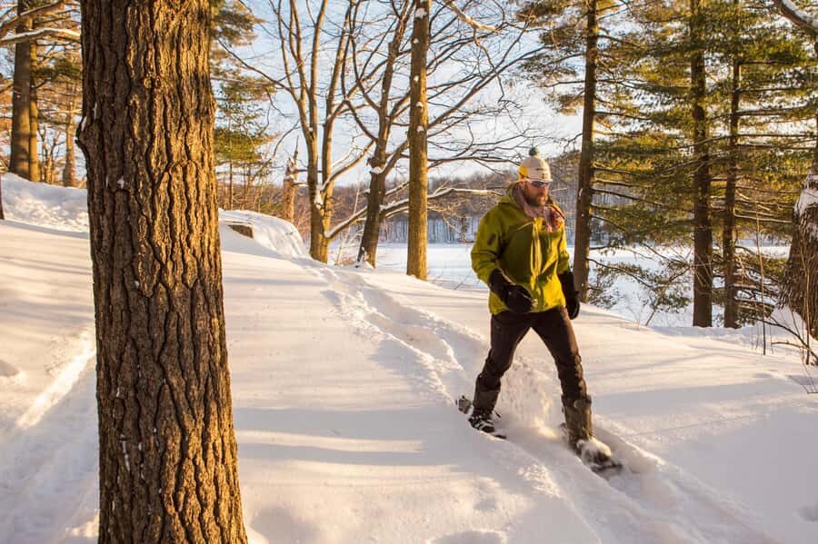 Mont-Saint-Bruno: Park Entry with Fat-bike and Snowshoeing - Final Thoughts: Who Will Love This Experience?