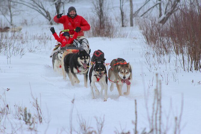 Mont Tremblant Dogsledding Valley Adventure - The Value of the Experience