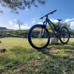 Monte Albán Bike Tour: history, culture and scenery. - The Experience: What Makes It Special