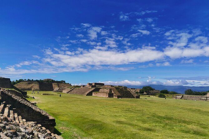 Monte Alban - Full Day Guided Tour with or without Food - Oaxaca - What the Reviews Say