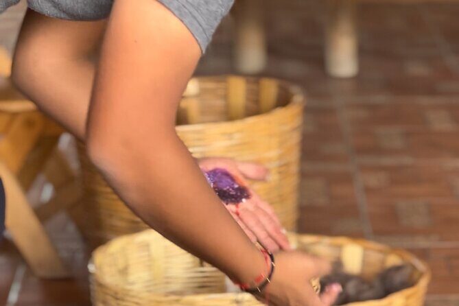 Monte Alban, Mezcal factory, chocolate and artisan houses - Artisans & Craft Workshops: Alebrijes and Textiles