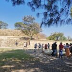 Monte Alban Only - Half Day Guided Tour - Oaxaca - Transportation and Timing